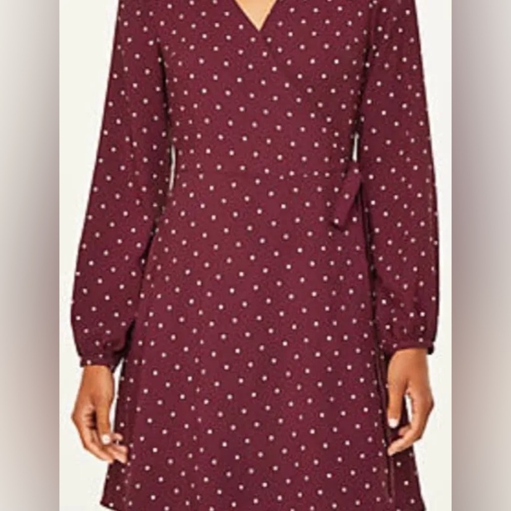 Loft Outlet : Burgundy Polka Knee Length Dress